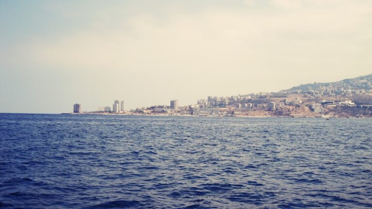 Visa Liban autocollant 30 jours