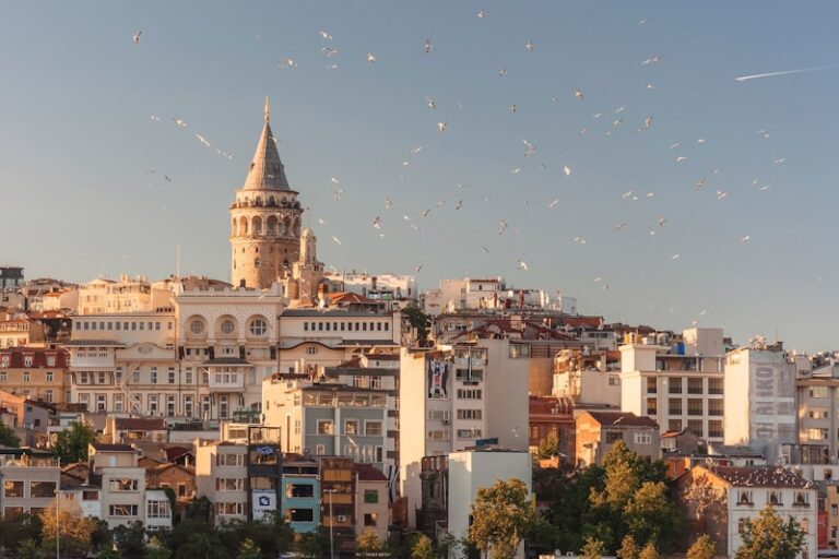 Visa Turquie électronique B1