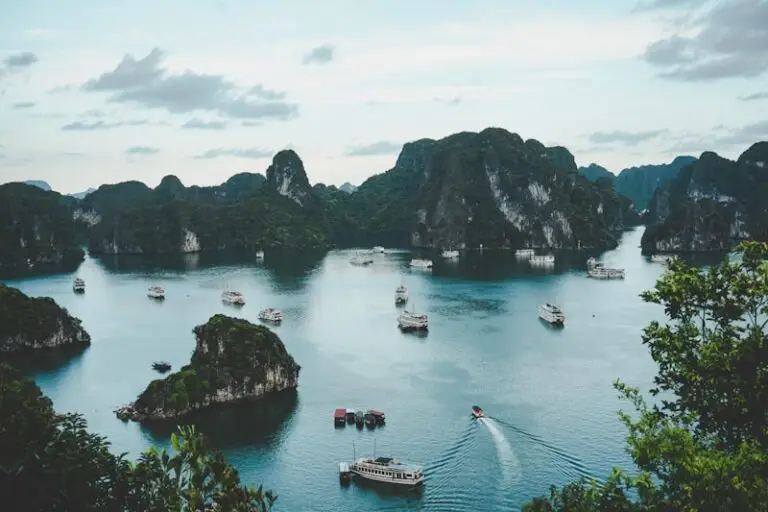 Visa Vietnam électronique 90 jours (entrées multiples)