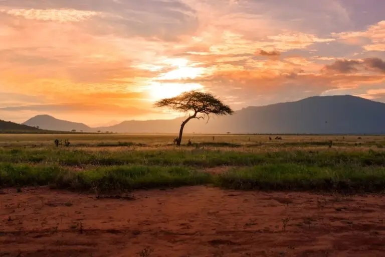 Visa Kenya électronique 30 jours (entrées multiples)